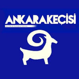 “Ankara Keçisi” Gazetesi Yayıma Başladı