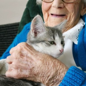 Yaşlı Kadın ile Kedi